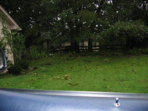 1985 Ford LTD Crown Victoria - Residential scene with a house and yard, taken from inside a vehicle.
