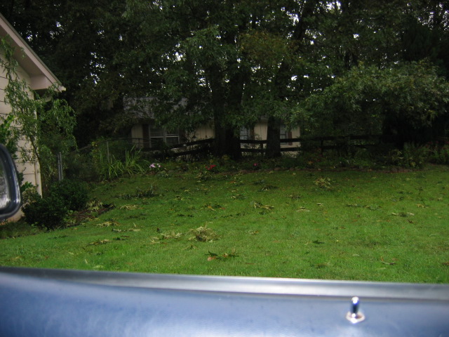 View of a grassy yard with scattered leaves, a wooden fence, and trees in front of a house