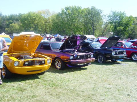 1978 Ford Mustang II - Several classic cars are displayed with their hoods up at an outdoor event.