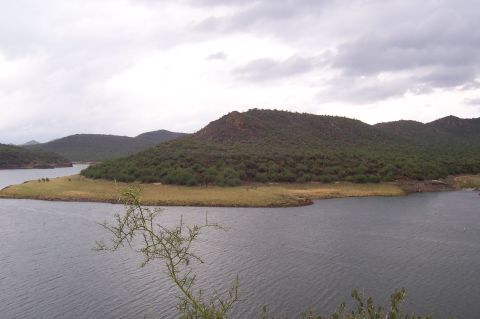 1992 Ford Bronco - A scenic view of a lake and rolling hills on an overcast day, with a small branch in the foreground.