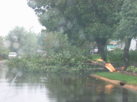 1985 Ford LTD Crown Victoria - A street is flooded and blocked by fallen trees after a storm.