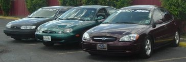 1993 Ford Taurus - Three Ford Taurus sedans are lined up in a parking lot, with foliage in the background.