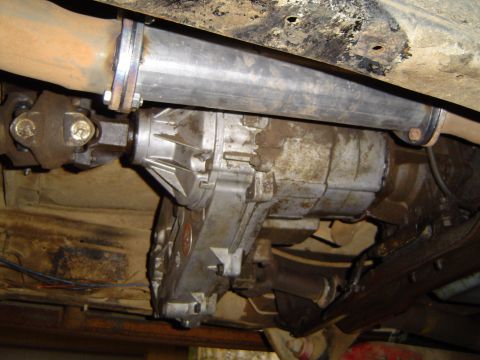 1989 Ford Bronco - Umm....what cat?