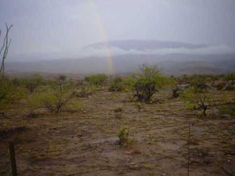 1989 Ford Bronco - Desert landscape scene with a rainbow after rain, scrub brush and distant mountains.