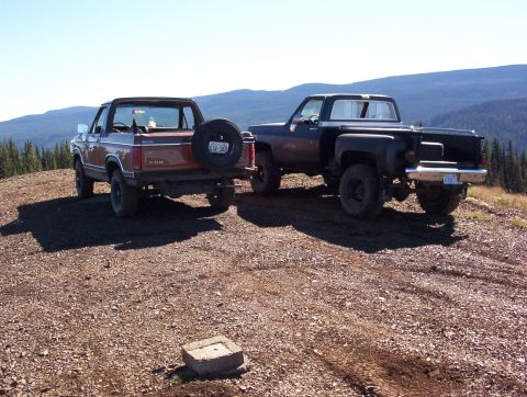 1981 Ford Bronco - some sexy rear ends, mine is on the left, my buddy one arm mikes is one the right