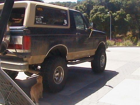 1991 Ford Bronco - Rear three-quarter view of a lifted dark blue and tan Ford Bronco on a driveway, riding on chrome wheels with tall mud-terrain tires and we…