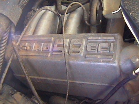 1991 Ford Bronco - Ford Windsor 351 cu. in. 5.8L V8
