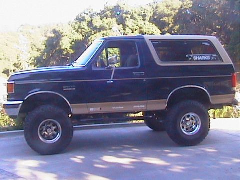 1991 Ford Bronco - New pinstriping!