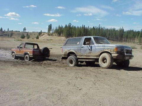 1981 Ford Bronco - Pepe hooked up to my bumper and tryed to get me out