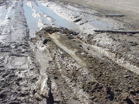 1981 Ford Bronco - Here are a couple pics of how I dug into the mud to get stuck