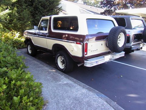 1979 Ford Bronco - Rear view of a two-tone Ford Bronco parked beside another vehicle.