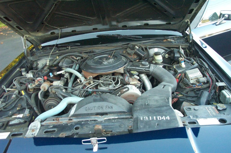 Engine bay with "CAUTION FAN" and "1911044" text visible