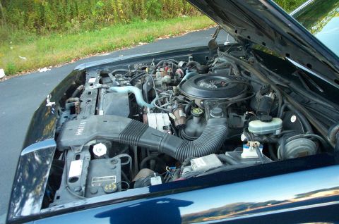 1991 Ford LTD Crown Victoria - Engine bay of a 1991 Ford Crown Victoria LTD, showing the engine and surrounding components.