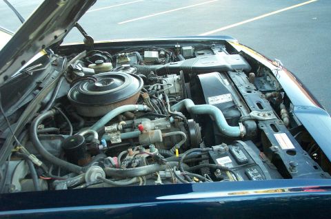 1991 Ford LTD Crown Victoria - The engine compartment of a dark blue vehicle is shown with the hood open.