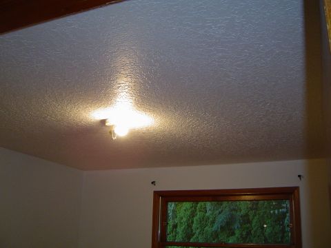 1989 Ford Bronco - Ceiling painted