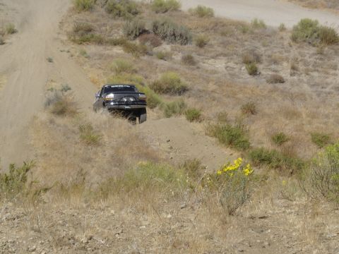 1988 Ford Bronco - A black pickup truck navigates a dusty, off-road trail with dry brush and yellow wildflowers.