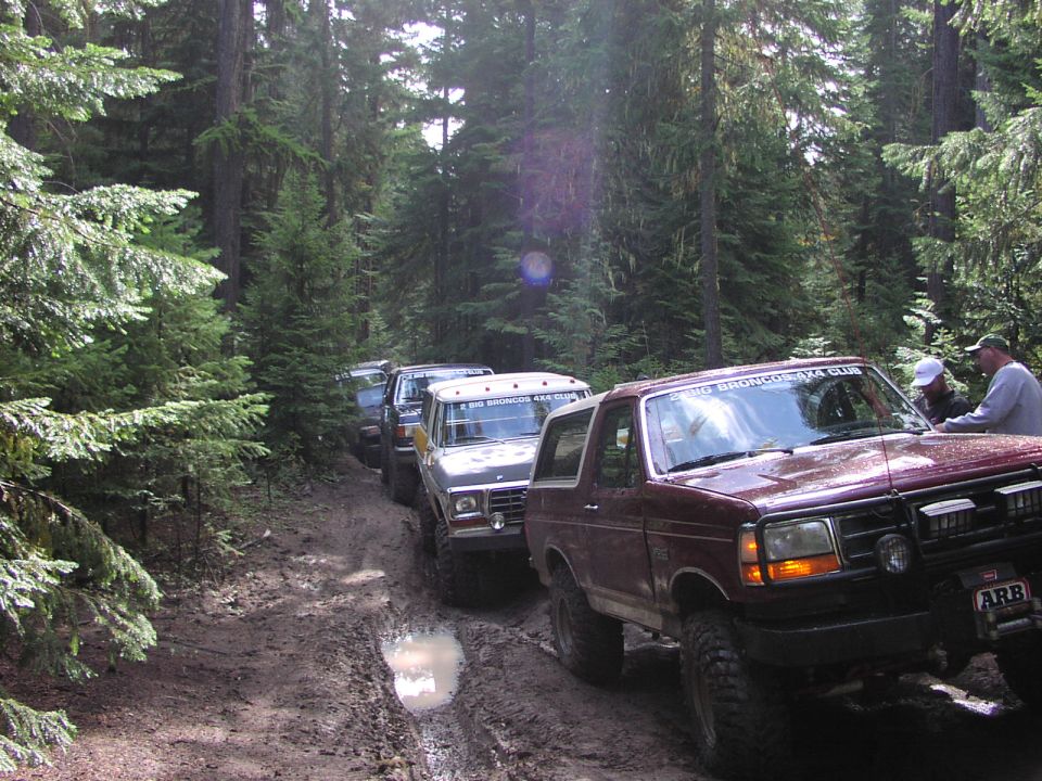 Line of Ford Broncos and trucks crawling a muddy forest trail, one maroon Bronco closest to camera