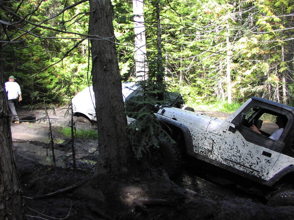 Mud-spattered Jeep Wrangler at an angle on a forest trail near another stuck vehicle