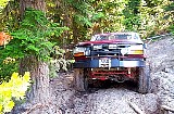1993 Ford Bronco - A red Ford Bronco navigates a rough, off-road path surrounded by trees.