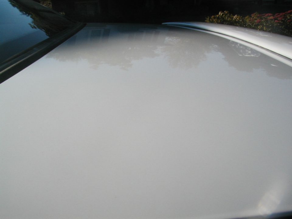 Glossy white car roof panel photographed at a low angle with tree reflections