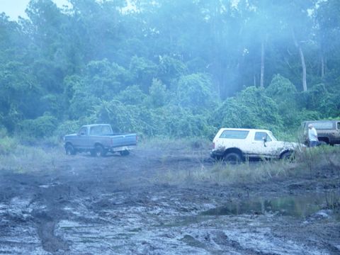 1989 Ford Bronco - Two trucks and a Bronco are stuck in the mud, surrounded by dense foliage.