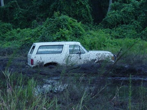 1989 Ford Bronco - White 1989 Ford Bronco submerged in mud and overgrown plants.