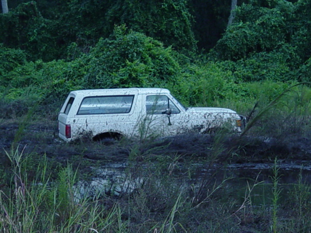 1989 Ford Bronco stuck deep in mud with vegetation surrounding it