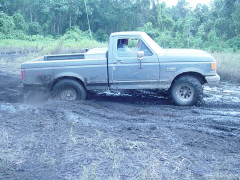 1989 Ford Bronco - A gray Ford F-150 pickup truck is stuck in the mud, with its tires spinning.