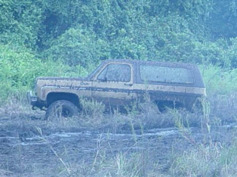 1989 Ford Bronco - This 1978 Chevrolet K5 Blazer is deeply stuck in muddy terrain, with only its side profile visible.