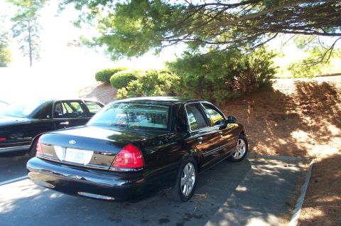 1991 Ford LTD Crown Victoria - A black sedan is parked in a lot, partially shaded by trees.