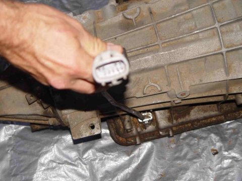 1988 Ford Bronco - A hand connects a wire harness to a component on a vehicle's transmission.