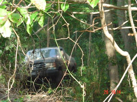 1989 Ford Bronco - A dark-colored SUV is seen off-road, surrounded by dense foliage and branches.