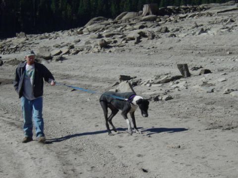 1986 Ford Bronco - A man and his dog walk across a rocky, barren landscape under a clear sky.