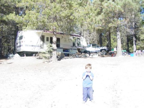 1986 Ford Bronco - A white pickup truck is parked beside a recreational vehicle in a campsite surrounded by trees, with a young child standing in the foregrou…