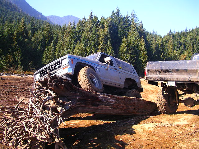 Silver SUV driving over a fallen tree with a pickup truck nearby