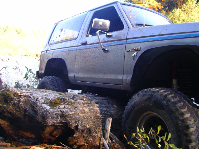 Gray 1984 Ford Bronco II with blue stripe, off-roading over logs