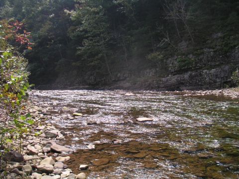 1994 Ford Bronco - A sun-dappled river flows over rocks, bordered by trees. The Supermotors.net logo is visible in the lower right corner.