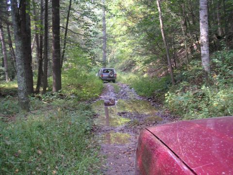 1994 Ford Bronco - Two SUVs navigate a muddy path through a dense forest.