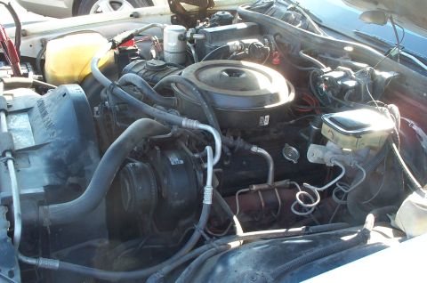 1995 Ford Crown Victoria - Close-up view of a car's engine bay, showing various components and hoses.