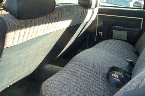 1995 Ford Crown Victoria - Interior view of a car's back seat and door panel, showing fabric upholstery and a seatbelt.