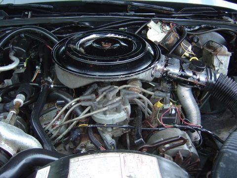 1985 Mercury Grand Marquis - The engine bay of a 1985 Mercury Grand Marquis is visible, with various components and wiring clearly depicted.