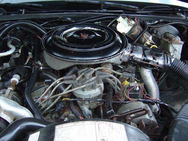 Carbureted V8 engine bay with round black air cleaner and gray plug wires