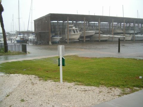 1991 Ford Bronco - Multiple boats are parked under a covered structure at a marina on a rainy day.