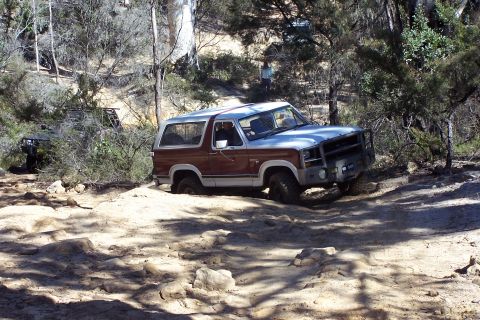 1982 Ford Bronco - This Ford Bronco is tackling a challenging off-road course with rough terrain and dense vegetation.