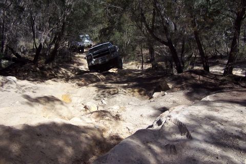 1982 Ford Bronco - Multiple SUVs navigate a challenging off-road trail through a wooded area, with the lead vehicle showing a boxy, 1980s-era body style.