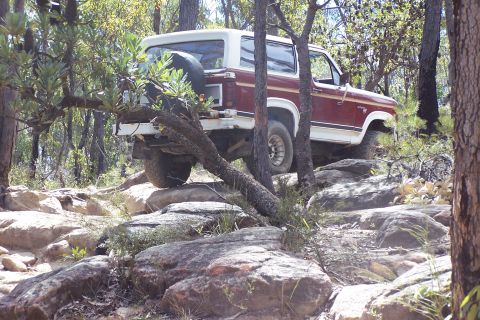 1982 Ford Bronco - This 1982 Ford Bronco is shown traversing a challenging, off-road path through a forest.