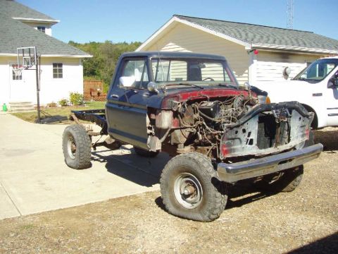1979 Ford F-250 photo