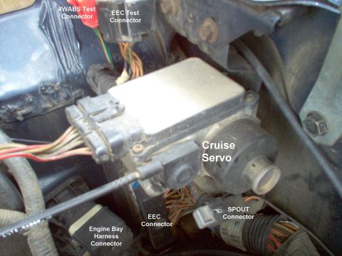 1983 Ford Bronco - SPOUT, cruise servo, test connectors on '93 5.8L Bronco under the Left hood hinge. See also: [url=https://www.supermotors.net/vehicles/regi…