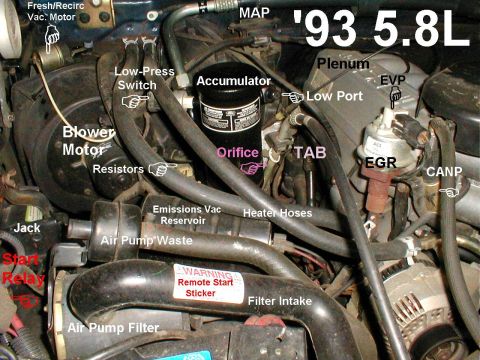 1983 Ford Bronco - V8 Engine Bay IF THE IMAGE IS TOO SMALL, click it. [url=https://www.supermotors.net/vehicles/registry/media/894688] https://www.supermotors…