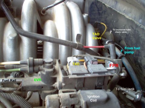 1983 Ford Bronco - Thermactor Air Diverter valve & other components. The IAT/ACT is barely visible behind the fuel rail in the lower L. See also: [url=https:/…
